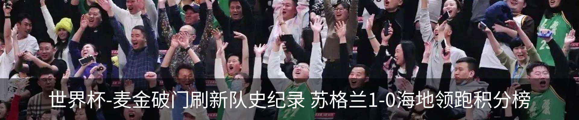 新闻动态