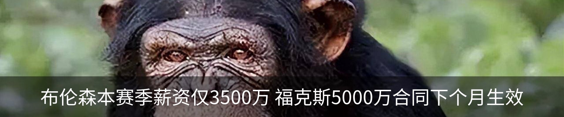 新闻动态