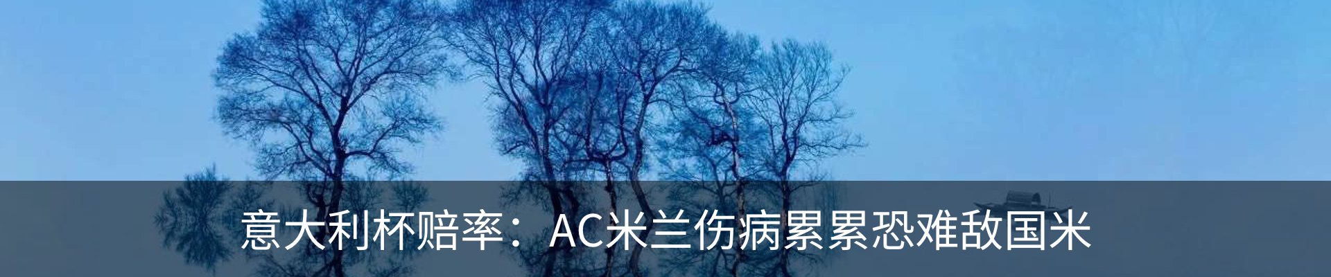 新闻动态