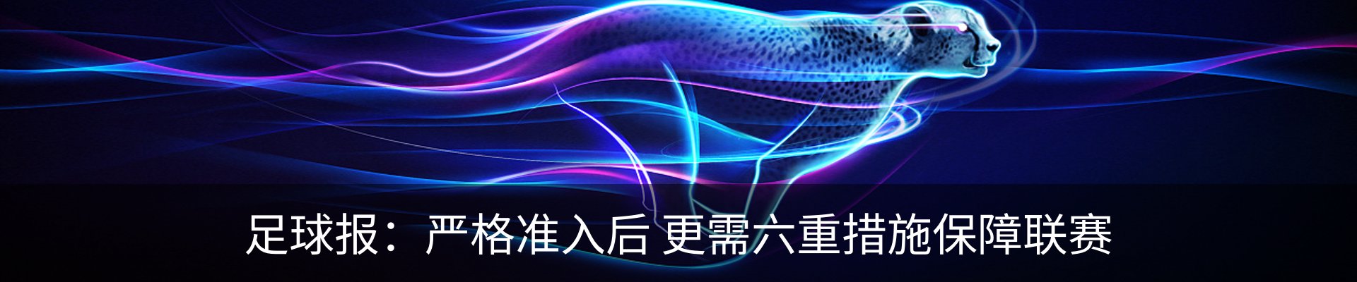 新闻动态